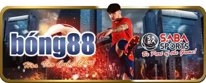 Đá Gà trực tiếp tại bet20