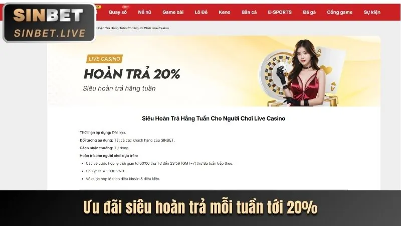 Dịch vụ khách hàng ưu việt tại bet20 link vào
